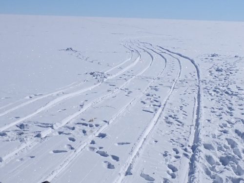 Ramon Larramendi 2022-SOS-ARCTIC-– Expedition -Greenland-South-Dome-Circumnavigat P6091099