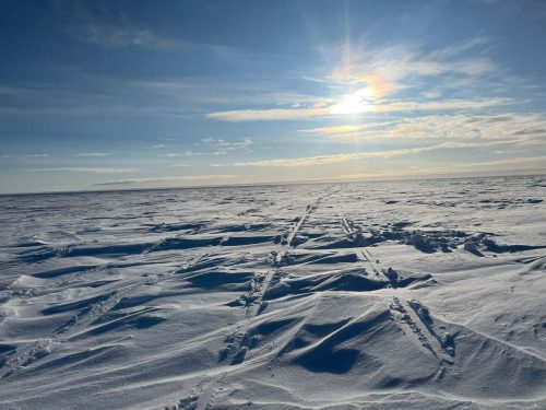 Ramon Larramendi Expedition 2024-SOS-ARCTIC-–-Greenland-South-North-Traverseour-trakcs-in-sunny-snow