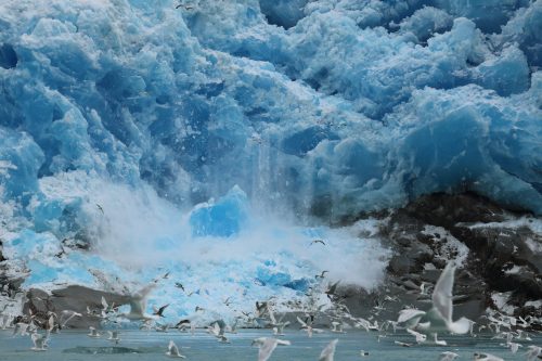 Ramon Larramendi  Expedition 2024-SOS-ARCTIC-–-Greenland-South-North-Traverottura-fronte-Kaleralik