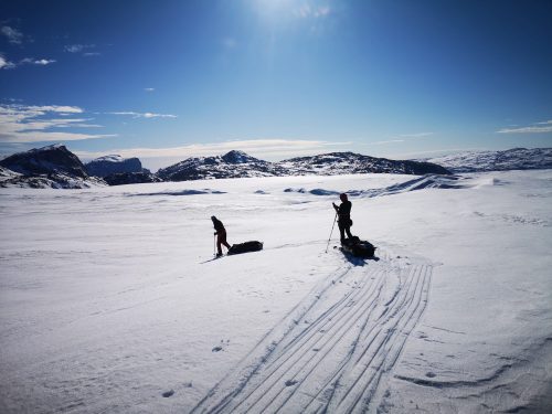 Ramon Larramendi  Expedition 2024-SOS-ARCTIC-–-Greenland-South-North-Traverse 184742