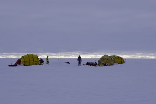 Ramon Larramendi  Expedition 2024-SOS-ARCTIC-–-Greenland-South-North-Traverse DSC9456
