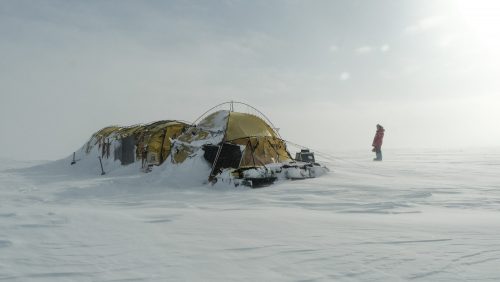 Ramon Larramendi  Expedition 2024-SOS-ARCTIC-–-Greenland-South-North-Traverse DSCF1257